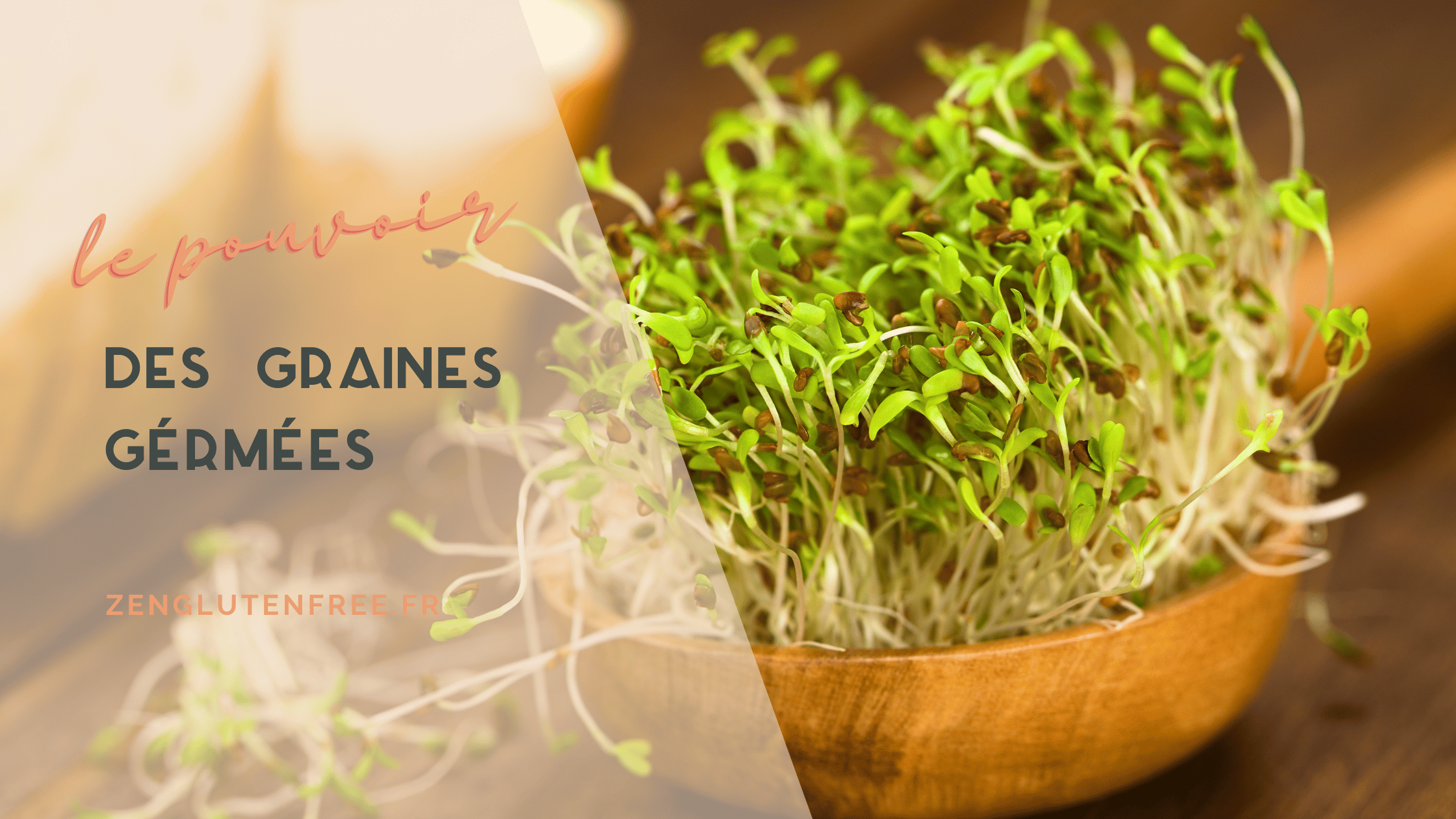 le pouvoir des graines germées - zenglutenfree