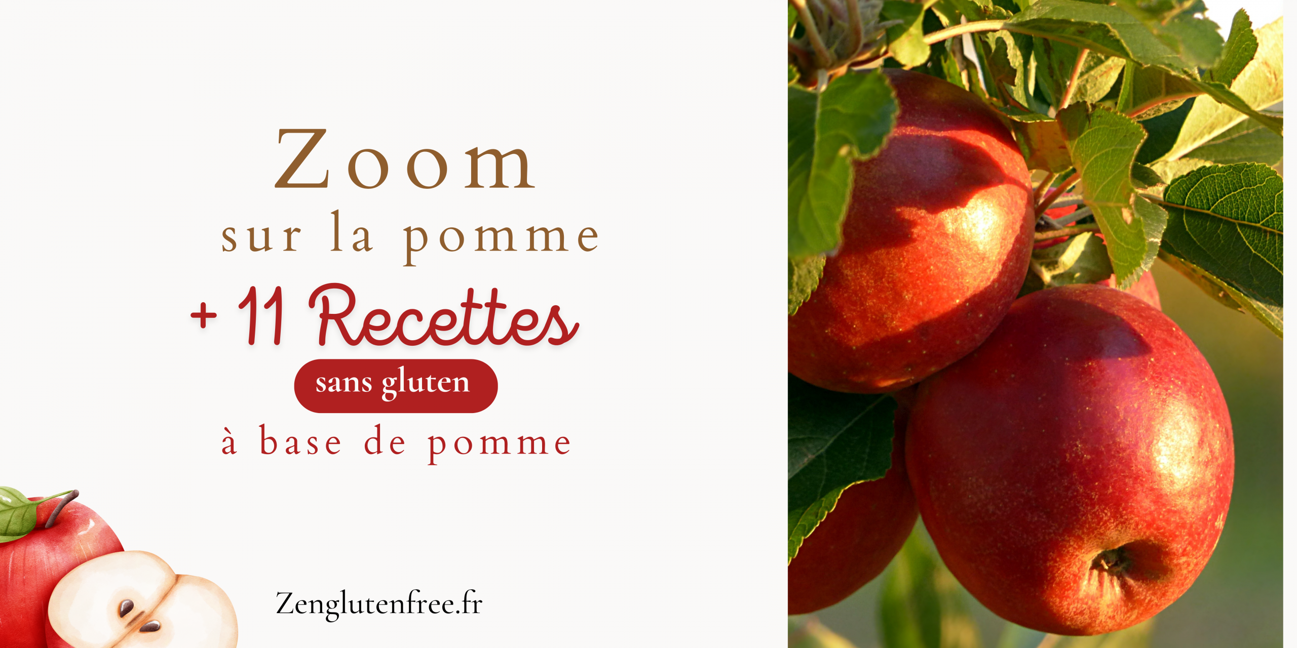 Collection de pommes rouges sur un arbre avec quelques feuilles vertes créant une ambiance naturelle et fraîche. À côté, sur fond blanc, est marqué 'zoom sur la pomme + 11 recettes sans gluten autour de la pomme