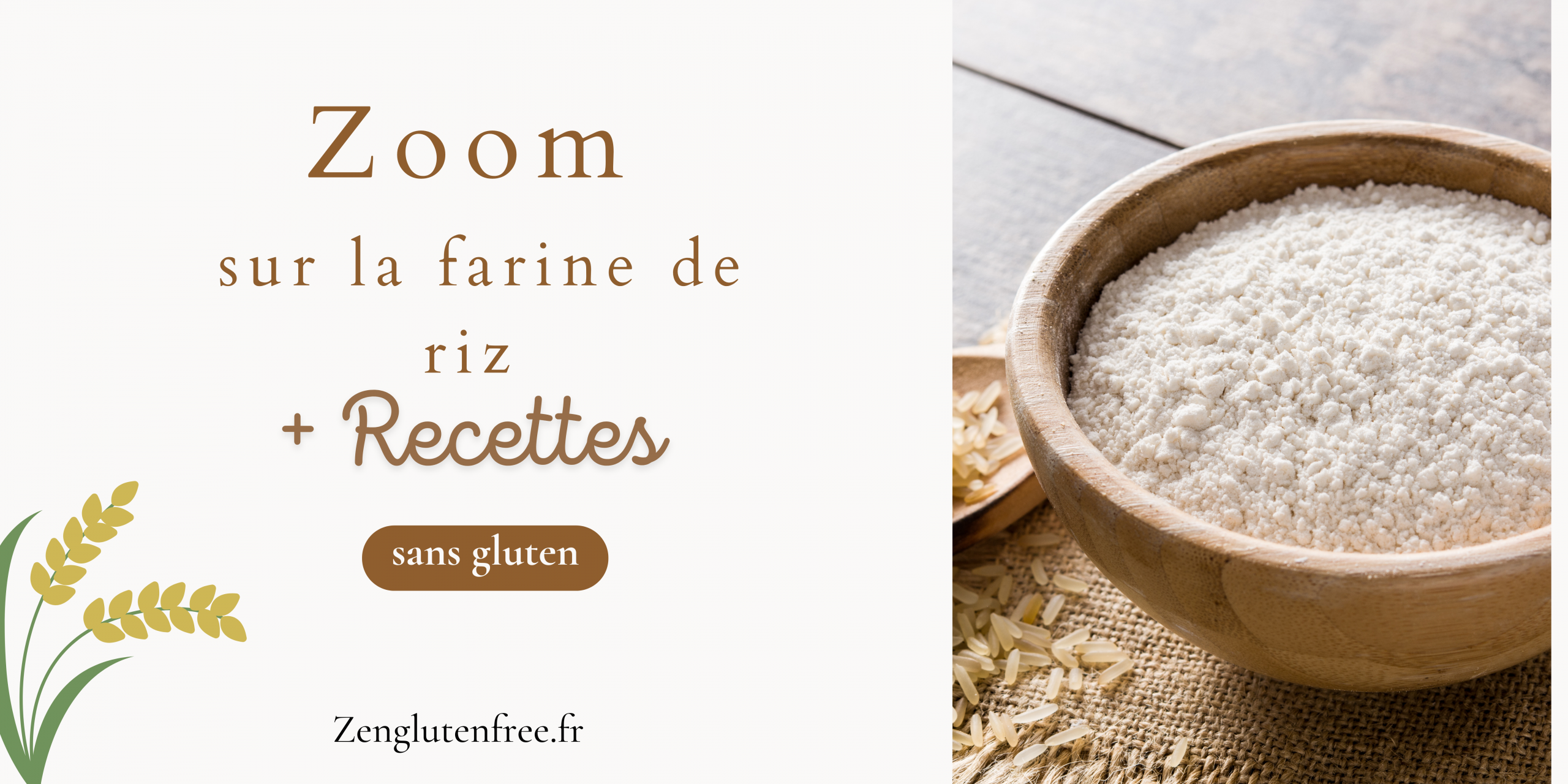 Une photographie vue de farine de riz .La texture fine et poudreuse de la farine contraste avec la texture fibreuse de la noix de coco. Titre superposé : "La farine de riz : astuces + recettes sans gluten